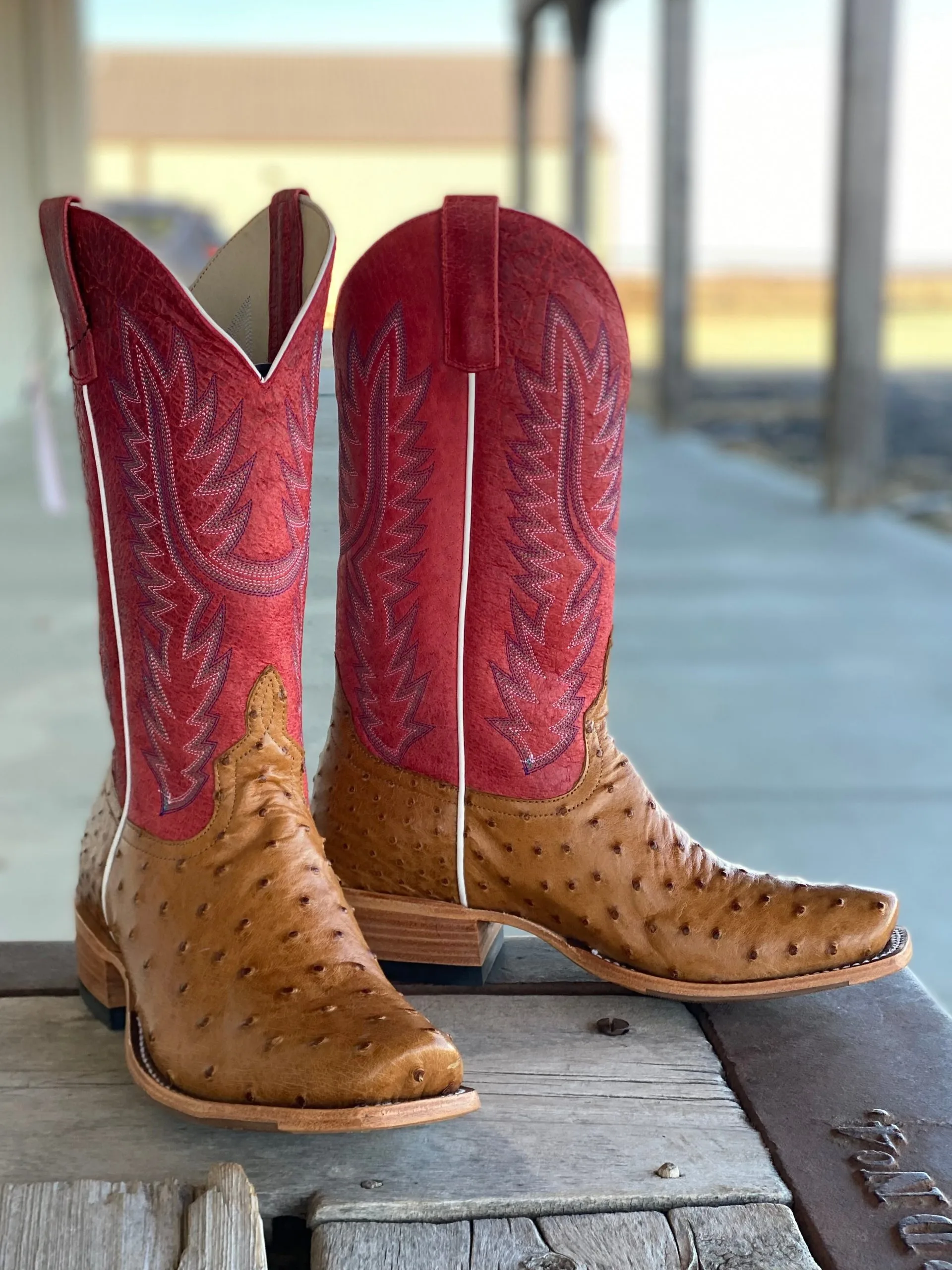 Horse Power Top Hand | Antique Saddle FQ Ostrich Boot 3 Horse Power Top Hand | Antique Saddle FQ Ostrich Boot