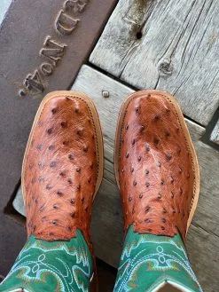 Fenoglio Boot Co. | Cognac Full Quill Ostrich Boot -Boy Straw Hat Sales Shop IMG 4533