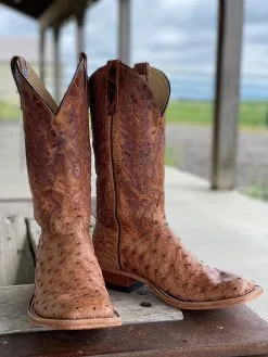 Anderson Bean | Brandy Bruciato Full Quill Ostrich Boot