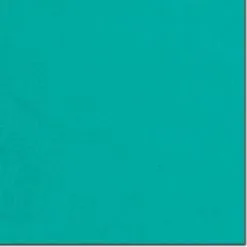 Wyoming Traders | Solid Wild Rag -Boy Straw Hat Sales Shop S Emerald