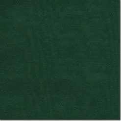 Wyoming Traders | Solid Wild Rag -Boy Straw Hat Sales Shop S Forest