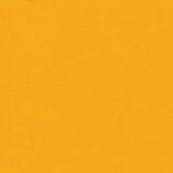 Wyoming Traders | Solid Wild Rag -Boy Straw Hat Sales Shop S Yellow