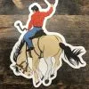 Bison Range Studio Bison Range | Rank Rider Sticker -Boy Straw Hat Sales Shop UNADJUSTEDNONRAW thumb 258
