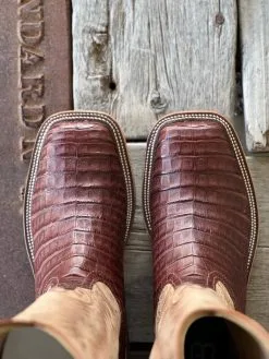 Anderson Bean | Tobacco Caiman Belly Boot -Boy Straw Hat Sales Shop UNADJUSTEDNONRAW thumb 5e
