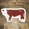 Bison Range Studio Bison Range | Hereford Sticker -Boy Straw Hat Sales Shop UNADJUSTEDNONRAW thumb 74