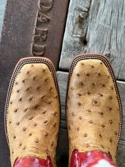 Rios Of Mercedes | Umber Bruciato Full Quill Ostrich Boot -Boy Straw Hat Sales Shop UNADJUSTEDNONRAW thumb 78 852e0f69 0db6 44fa b673 d7256393f8f3
