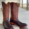 Fenoglio Boot Co. | Chocolate Nile Crocodile Boot -Boy Straw Hat Sales Shop UNADJUSTEDNONRAW thumb bf
